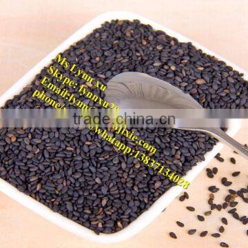 Industrial Gingili Cleaning Machine/seasame Washing Machine photo-5