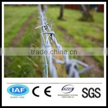 wholesale China CE&ISO certificated 14 gauge galvanized barbed wire(pro manufacturer)