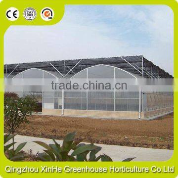 Modern Plastic Film Greenhouse With Steel Skeleton and Hot Drip Galvanized Bolt for Vegetable and Flower Grow for Hot Sale