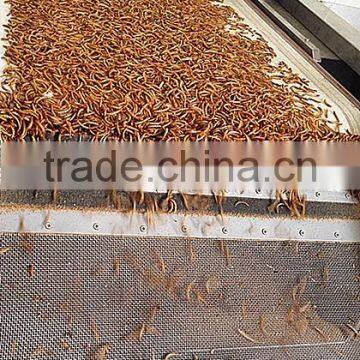 25mm 100% Pure Natural Freeze Dried Mealworms For Bird Food photo-2