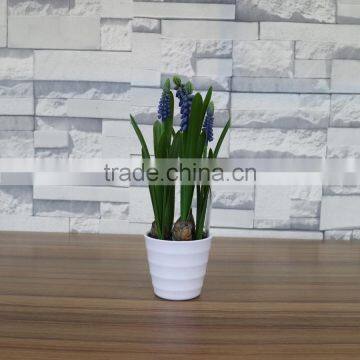 Plastic Hyacinth Flower Bonsai for Home and Commercial Decoation photo-3