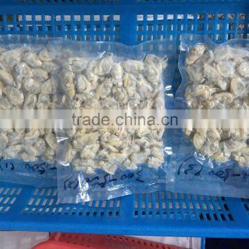 High Quality Frozen Baby Clams Without Shell photo-5