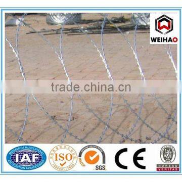 China Galvanized/Plastic barbed wire/welded razor wire mesh(weihao)