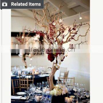 Popular Dry Tree for Decoration Decorative Tree Branches for Sale Beautiful Wedding Centerpieces photo-5