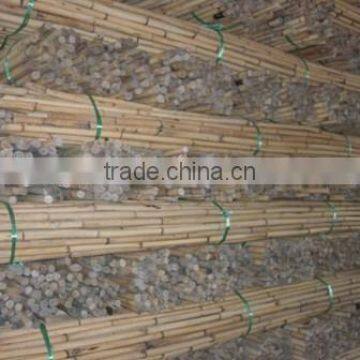 White Malacca, Mantang, Malacca, White Cane, Rattan, Cane, Rattan Cane, Rattan Pole, Pole, Cane Pole photo-2