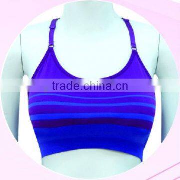 2013 Fashion Seamless Sports Bra (HB005)