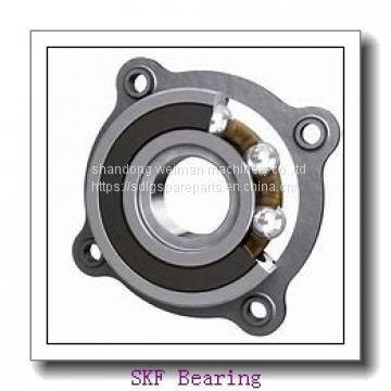 SKF Bearings