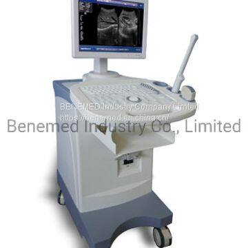 Trolly Build-in Black and White Ultrasound Scanner Medical Equipment photo-3