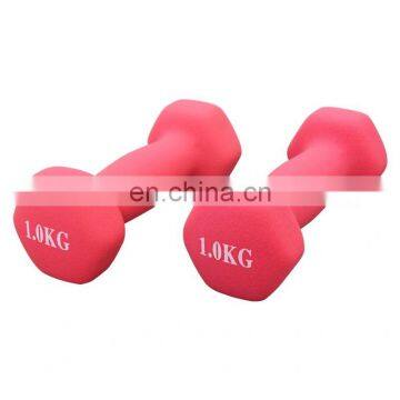 Fitness Equipment Adjustable Dumbbell Logo Plastic Dip Dumbbell Sets