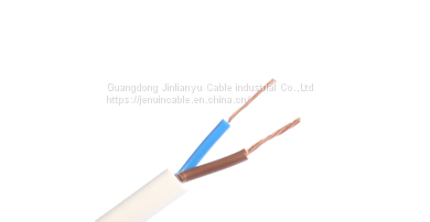 CU/PVC/PVC H03VV-F H03VVH2-F Flat Flexible PVC Cable