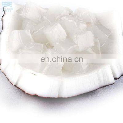 Big Supply  Flavorful Nata De Coco Coconut Jelly For Manufacturing Healthy Snack From Vietnam