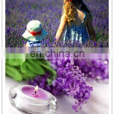 China Genyond Supercritical CO2 Extraction Machine for Plant Extraction photo-5