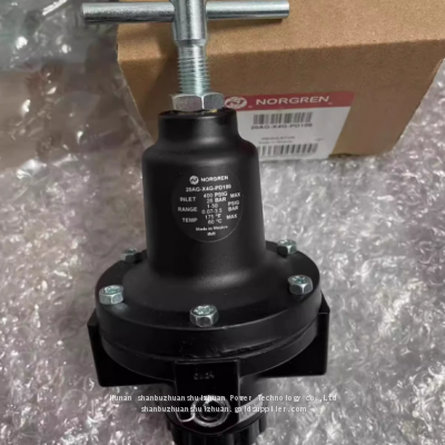 20AG-X4G-PD100, Norgren Pressure Reducing Valve, G1/2' Thread