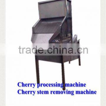 Fruit Stem Removing Machine / Chilli Stem Removing Machine photo-3