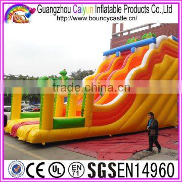 Colourful Design Inflatable Dry Slide With Trees photo-4