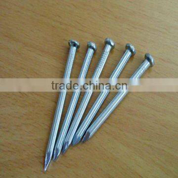 Concrete nails with vertical shank( competitive price )