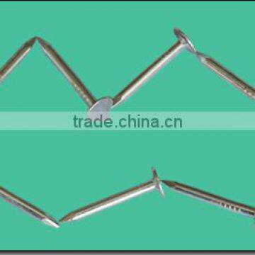 Roofing Bulk Nails photo-2