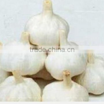 High quality garlic extract Allicin CAS 539-86-6