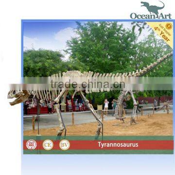 Life Size Museum Animatronic Dinosaur Skeletons photo-4