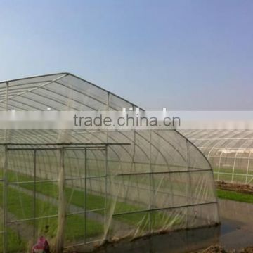 110g/m2 mesh 50anti insect net