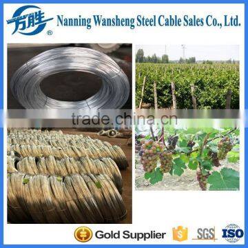 hot dipped galvanized wire for vineyard