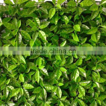 alibaba chain link fence 2013 low price supply all kinds of garden fence gardening