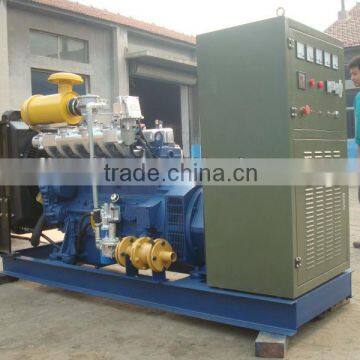 weifang 50KW Ricardo CNG generator