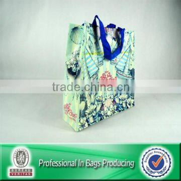 Custom Cheap Recycled Laminated PP Woven Gift Shopping Bag