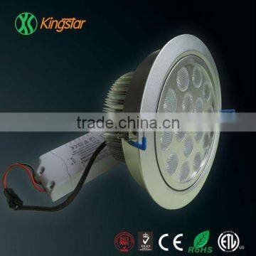 Novelty 15W LED up Down Light With 800-1000 lm and External Power Supply