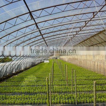 factory greenhouse pe plastic film made in China