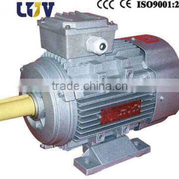 AC ELECTRIC MOTOR