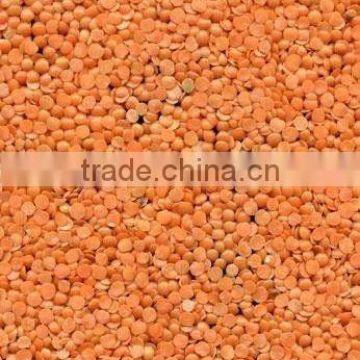 Red split and whole lentils football type