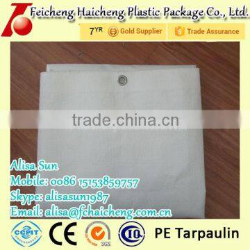 Heavy Duty Poly Tarp