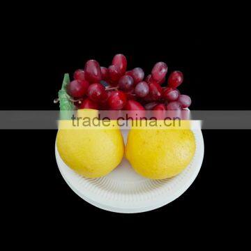 Wholesale OEM Service Supply Disposable Plate Machine photo-4