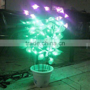 2012 hot sell outdoor use bonsai light