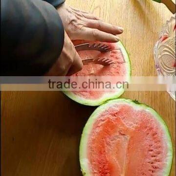 As Seen on TV Right Choice Convenient Magic Watermelon Slice for Home Use