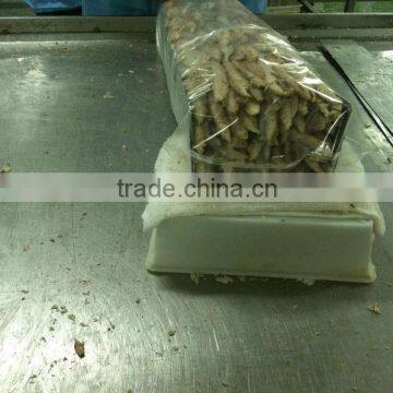 Precooked Bonito Loin photo-3