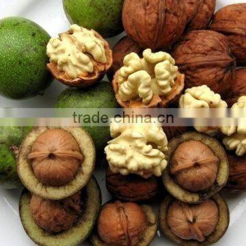 Wholesale Chinese Walnut Kernel With Marketing Price for Eating photo-3
