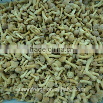 New Season Iqf Nameko Mushroom Export Price photo-3