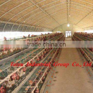 layer poultry rearing cages for Nigeria/Africa