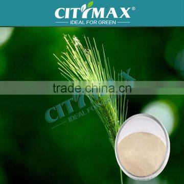 High Quality Complex Amino Acid Powder