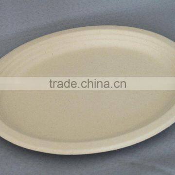 Eco Friendly Biodegradable Wheat Straw Disposable Charger Paper Plate photo-5