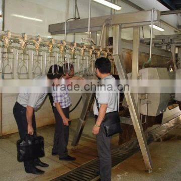 High Quality Broiler Chicken Slaughter /poultry Processing Machine/poultry Slaughter Line 008618052092685 photo-4