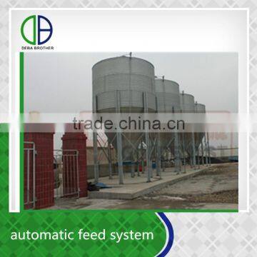 Saving time and labor cost modern pig farmautomatic feed system for sale