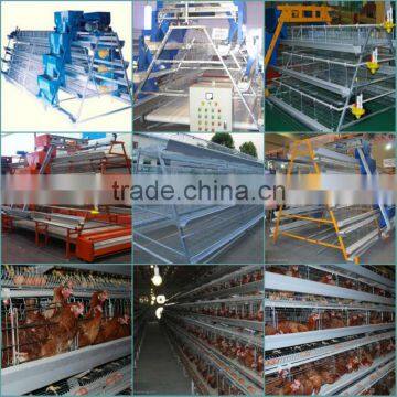 Layer chicken farm poultry feed machinery