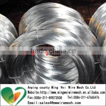 Electro galvanized iron wire for make wire mesh(Anping China 20 year Factory)