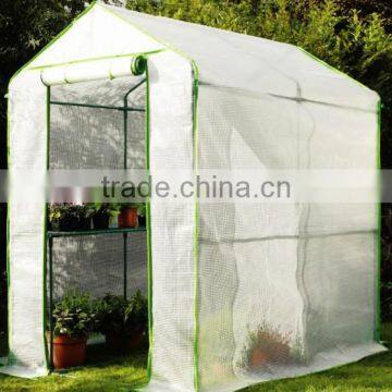 Walk In Greenhouse With Staging & PE Cover photo-1