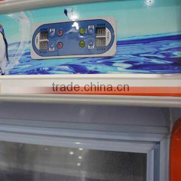 Vertical Dish Order Display-series Refrigerator Compressor 12vr /solar Refrigerator /refrigerator Freezer photo-6