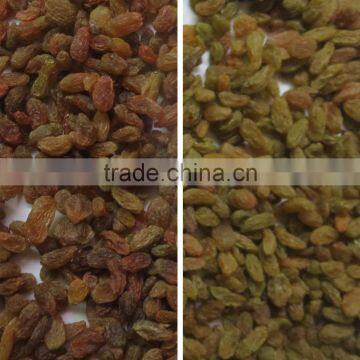 RGB Camera Ccd Grain Color Sorter Machine With 2T/H High Capacity photo-2