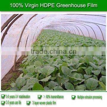 Best Selling Mushroom Film , Greenhouse Film for Mushroom Farm photo-6